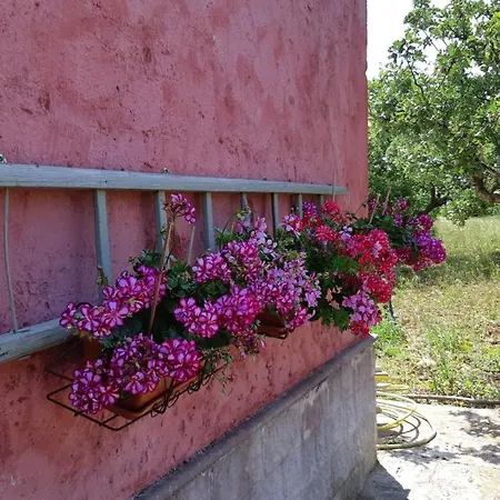 Casa Alle Vigne